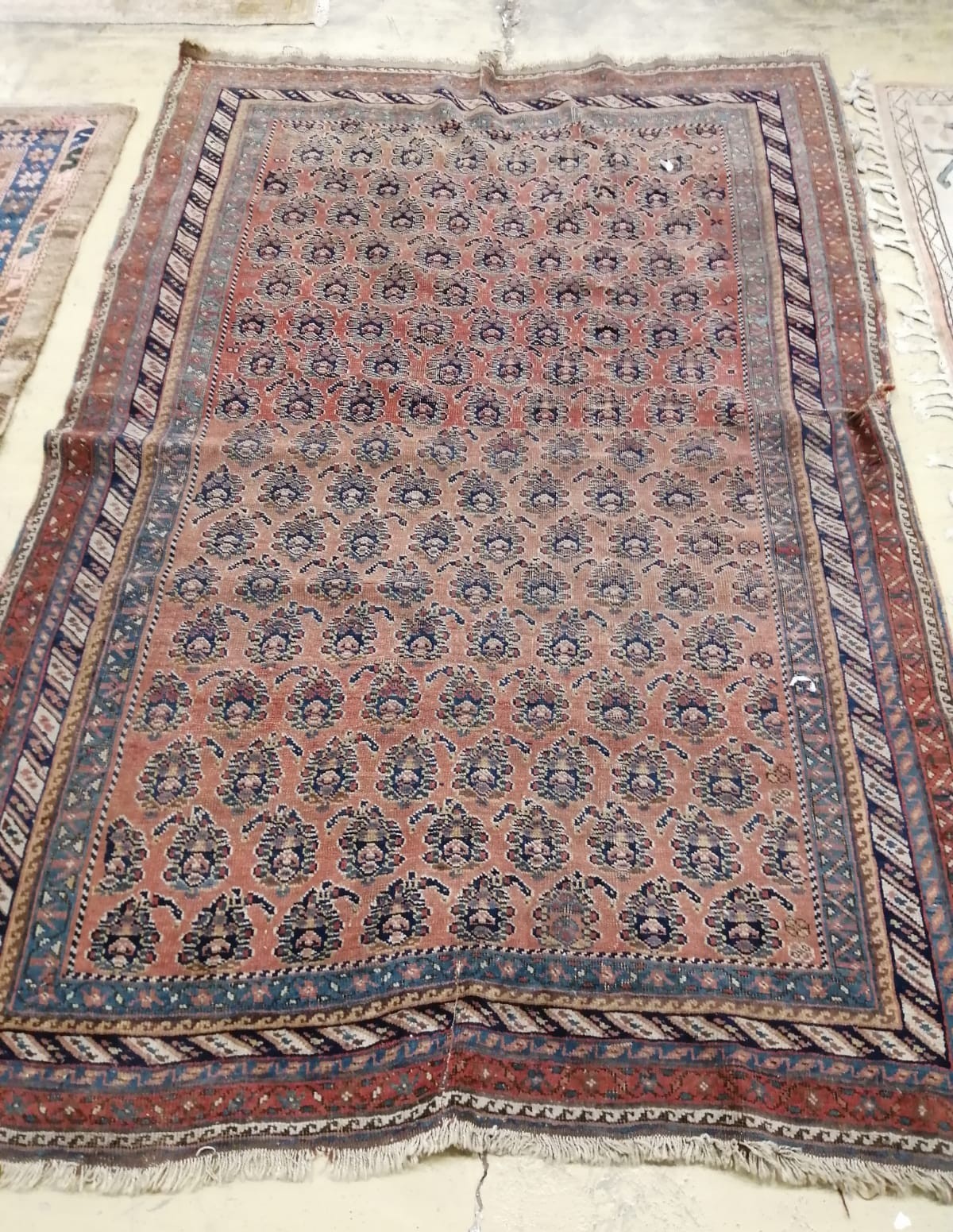 An antique Caucasian peach ground rug, 220 x 146cm